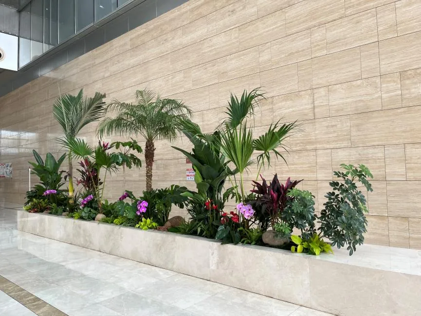 超实惠余姚花卉租摆，为您的环境增添魅力！